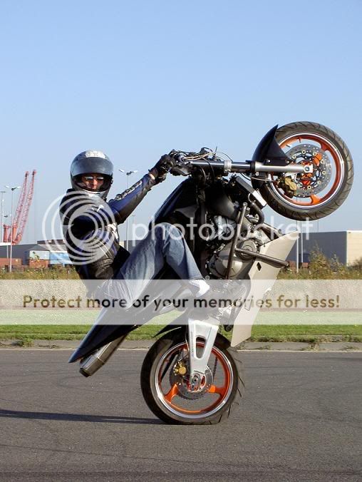 wp02.jpg