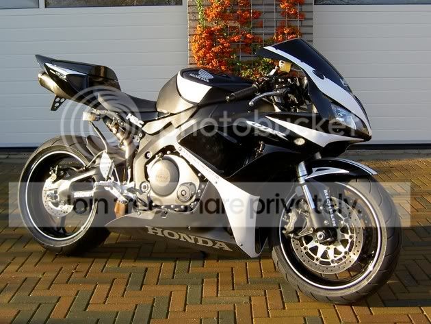 WhitePower-03.jpg