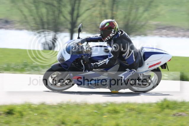 DeSteeg140407074.jpg